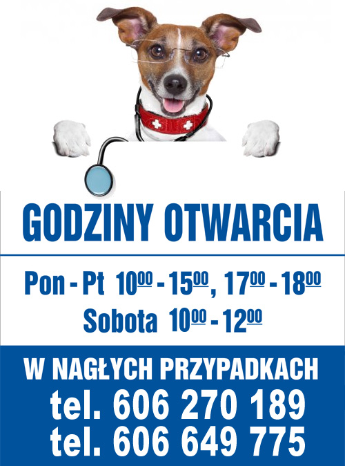 Weterynarz Brusy - Budziewski